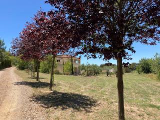 Vineyard Villa Bliss - 5