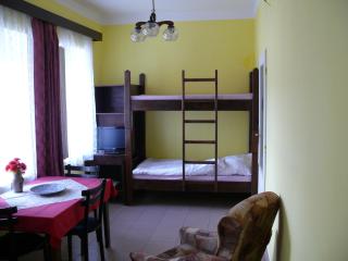 Pension a restaurace Rudolec - Český Rudolec - 9