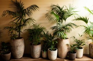 Maand Up Fremantle - 7