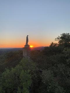 Maison neuve de plain pied au cœur d'un jardin arboré - 9