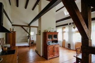 Cozy Apartment In Villa Near Pillnitzer Schloss - 3