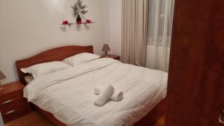 Mari - Baia Mare - 4