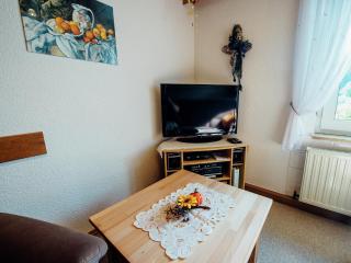 Wohnung in Waldnähe in Plankenstein - 4