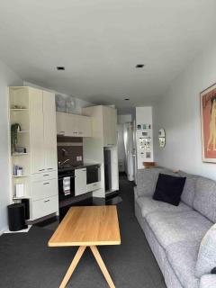 Lovely apartment with skytower views and car park - Auckland - 8