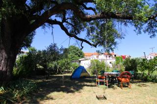 Apartments Majica - Sveti Filip i Jakov - 3