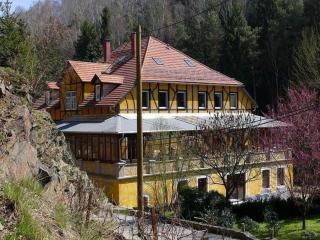 Historische Villa in Sachsen - Großschirma - 9