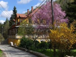 Historische Villa in Sachsen - Großschirma - 5