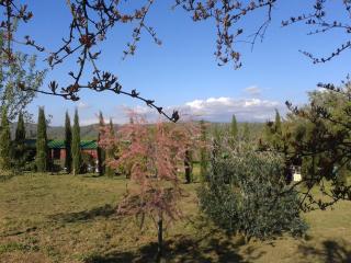 Casale In Maremma - Pancole - 4