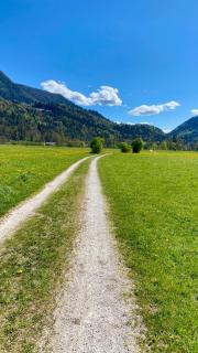 Apartment Bergnest - 2