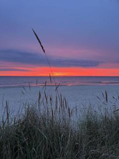 Sandy Beach - Scharbeutz - 1