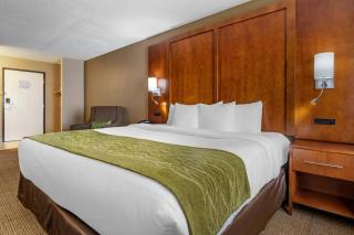 Comfort Inn Romeoville - Bolingbrook - 5