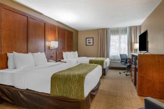 Comfort Inn Romeoville - Bolingbrook - 2