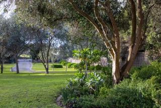 Sagres Queenscliff, Designer Oceanfront Escape with Pool & Sauna - 6