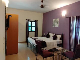3 Olives Mandrem Goa - 2