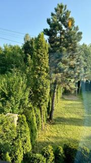 Homies Inn - Celiny - 5