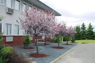 Ramada by Wyndham Florenceville - Florenceville - 8