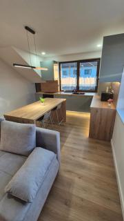 Matei Rent Apt - Baia Mare - 6