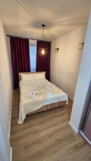 Matei Rent Apt - Baia Mare - 5