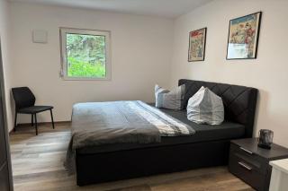 Living-Apartment-mit-Kamin-und-Terrasse - Dresde - 5