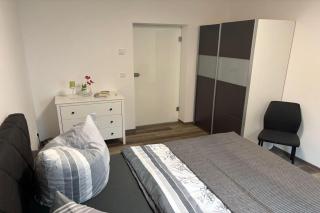 Living-Apartment-mit-Kamin-und-Terrasse - Dresde - 6