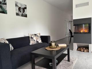 Living-Apartment-mit-Kamin-und-Terrasse - Dresde - 9