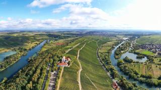 Main-Nest Volkach - 4