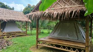 Bamboo House - 8