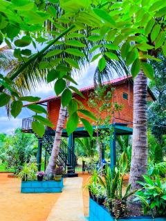 Sigiri Sandilu Homestay - Sigiriya - 2