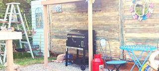 Lakeview Petting Pod - Chelmsford - 8