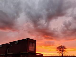 Betuwe Lodge 1 - Tricht - 2