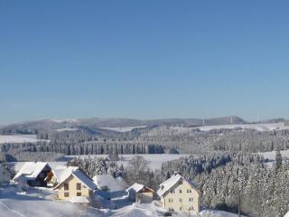 Ferienwohnung, Furtwangen - 1