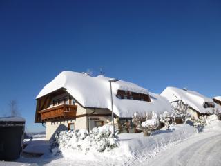 Ferienwohnung, Furtwangen - 9