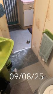 MOBILHOME PRIVÉ avec jardin privé - - 6