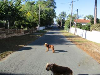RONCE,VUE mer jardin, FARNIENTE et ou TRAVAIL, en XXL,,10mn port ,velodyssée ! - 1
