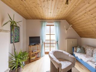 Alluring Apartment in Schönsee in the forest - Schönsee - 1