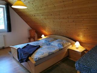 Spacious appartment in Wilhelmshof near Lake - 6