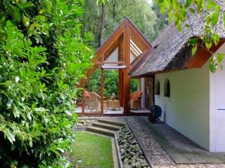 Ferienhaus Boschhuys - 3