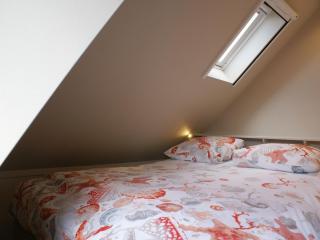 Fantastic luxury vacation home and next to the Wadden Sea - Paesens - 3