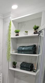 Silvery Studio 20 - 2
