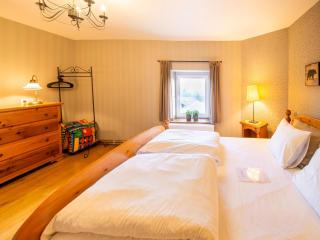 Test Property Beautiful holiday home near Vielsalm with rural view - Vielsalm - 1