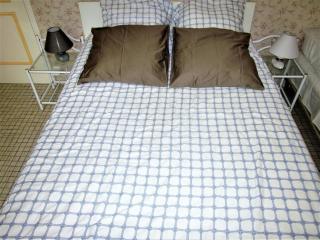 RONCE,VUE mer jardin, FARNIENTE et ou TRAVAIL, en XXL,,10mn port ,velodyssée ! - 9