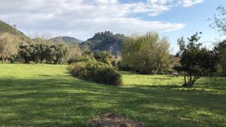 Historic Farmhouse With Views Of Sermoneta - Sermoneta - 2