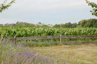 Historic Villa Apartment In Nature Reserve - 6
