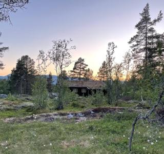 Cabin With Rauland Mountain Views - Rauland - 9