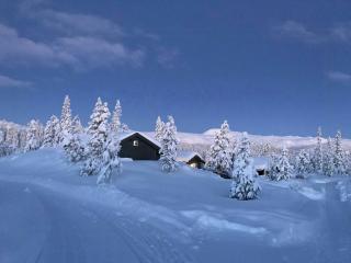 Mountain Cabin With Private Terrace By Mjogetjønn - Veggli - 9