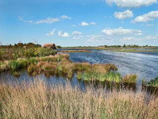 Secluded Chalet in Suwald with Hottub - Warstiens - 6