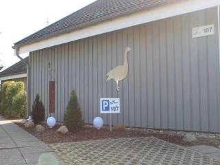 Ferienpark Mirow in Granzow - 4