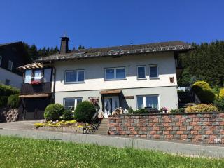 Modern Escape in Niedersfeld - Winterberg - 7