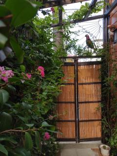 藤紫FujiMurasaki Japanese classic House - Tokyo - 5