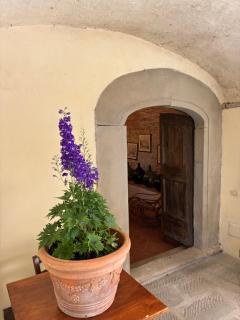 Agriturismo Le Pozze - 6